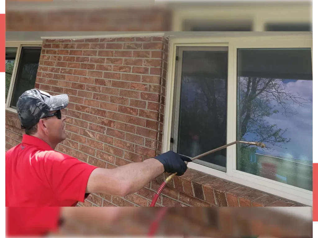 contact pest control