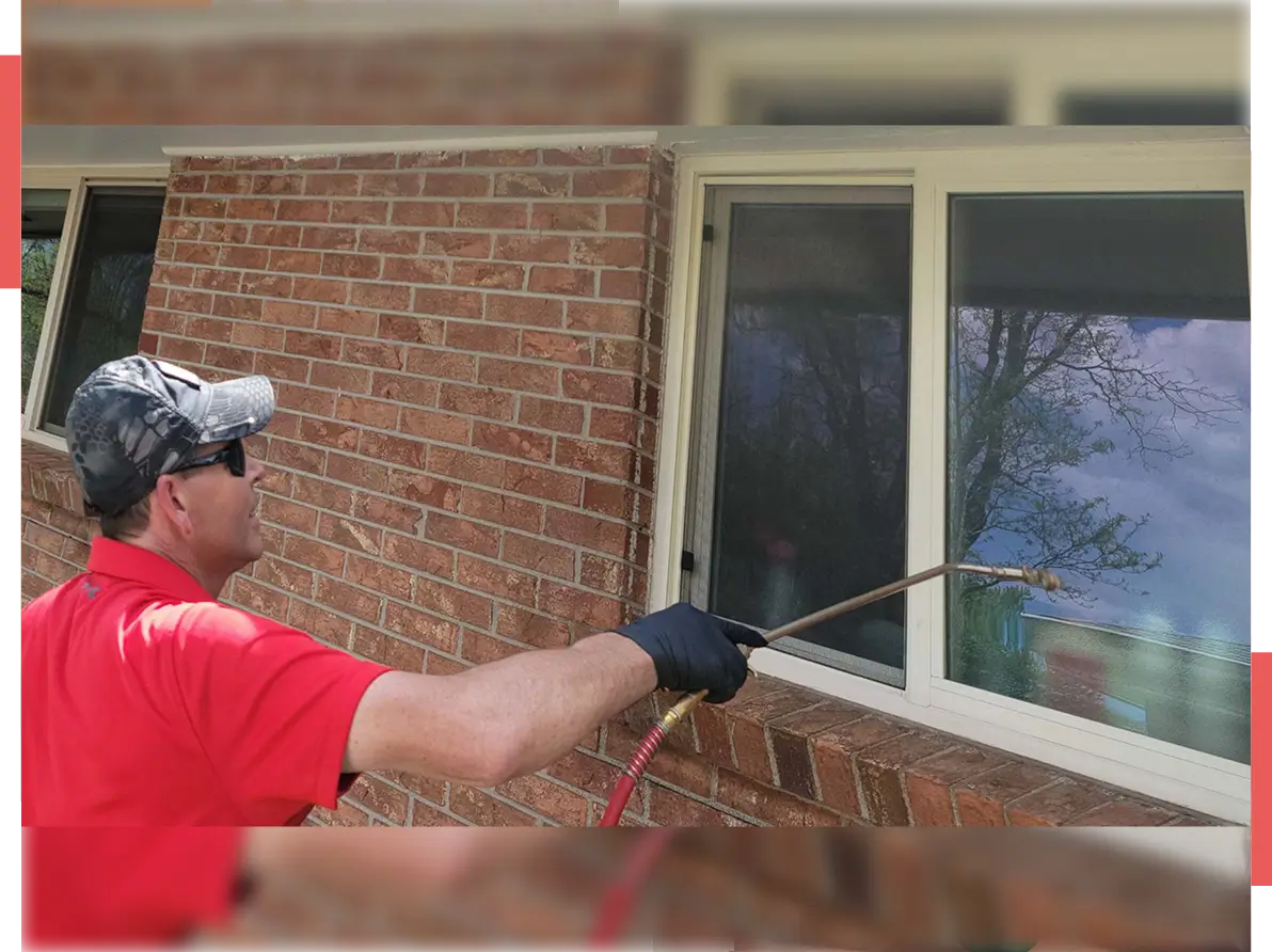 contact pest control